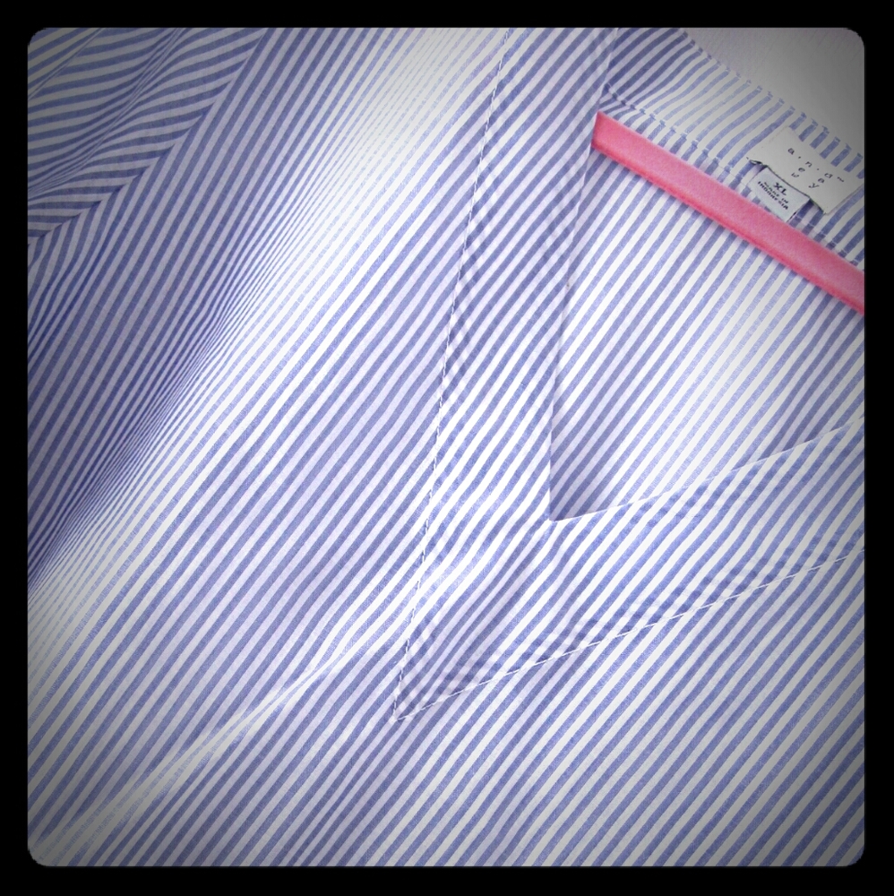 NWT Sheer Seersucker Top